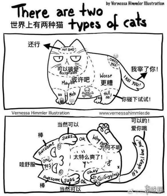 这磨人的小妖精!这20张插画告诉你为什么千万别养猫