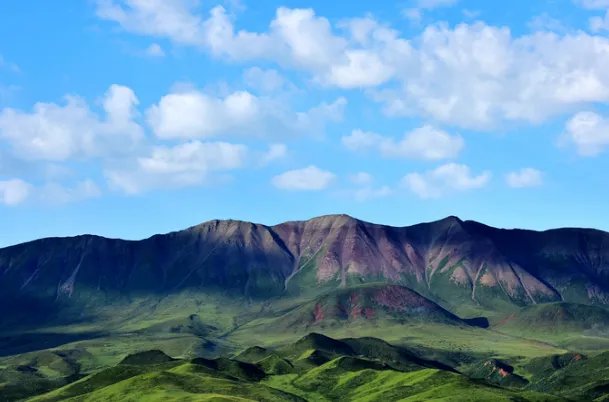 在青海遇难大学生有轻生目的?