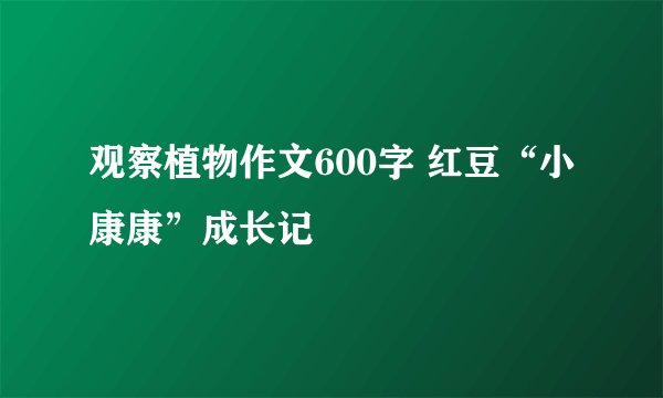 观察植物作文600字 红豆“小康康”成长记