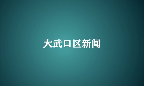 大武口区新闻