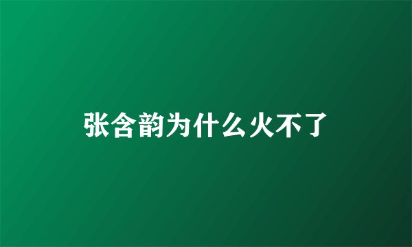 张含韵为什么火不了