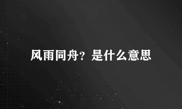 风雨同舟？是什么意思