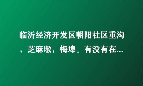 临沂经济开发区朝阳社区重沟，芝麻墩，梅埠。有没有在发展的黑社会，老大是谁