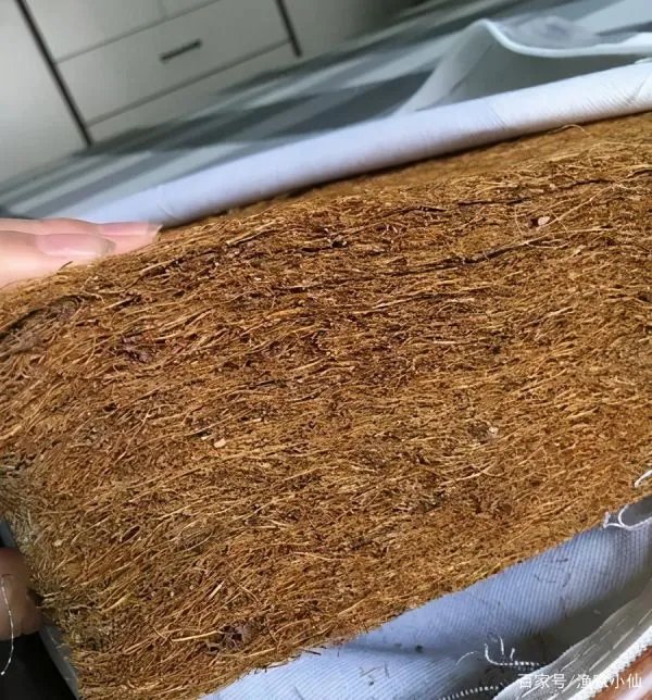 硬棕垫的胶水有毒么