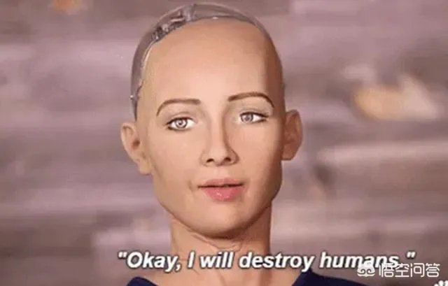 我国首个虚拟学生怎么看?