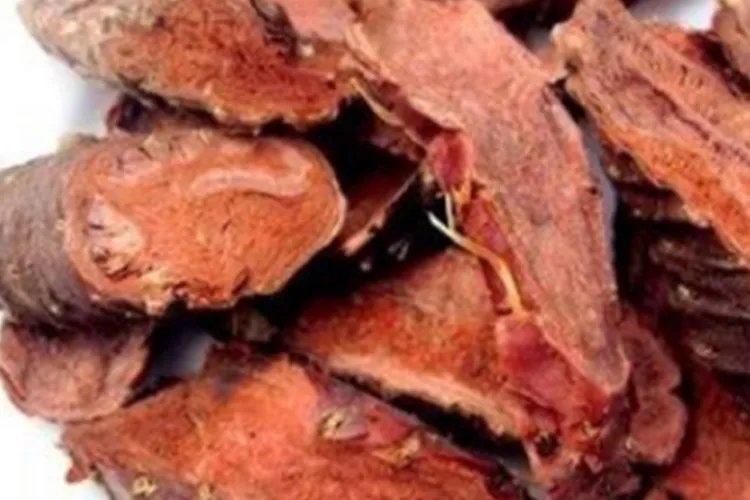 还阳草的功效与作用及图片