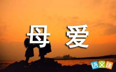 母爱无价