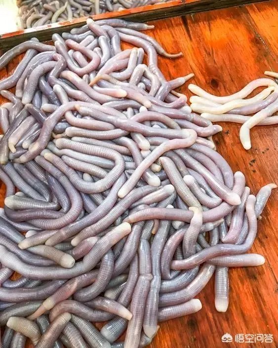 广西买海景房，北海和防城港哪个城市好一些？为什么？