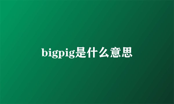 bigpig是什么意思