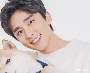 许多粉丝称张新成为艺考之神，这是为什么？