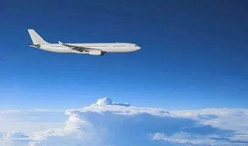 土总统为什么要称荷兰政府是纳粹余孽?