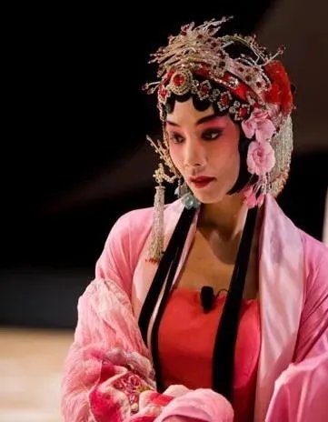 金星老师和《舞蹈风暴》中的沈伟老师，谁的国际影响力更大？