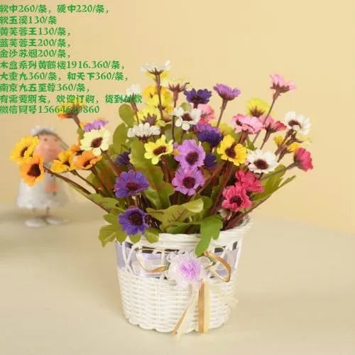 请问上海最大的食品批发市场在哪？