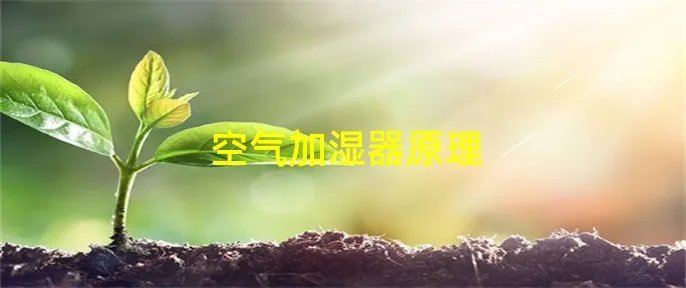 空气加湿器原理