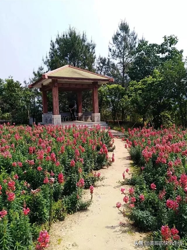 五一从化一日游去哪合适？