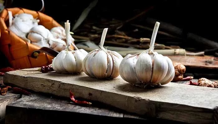 生大蒜的功效与作用 大蒜的营养价值与食用功效