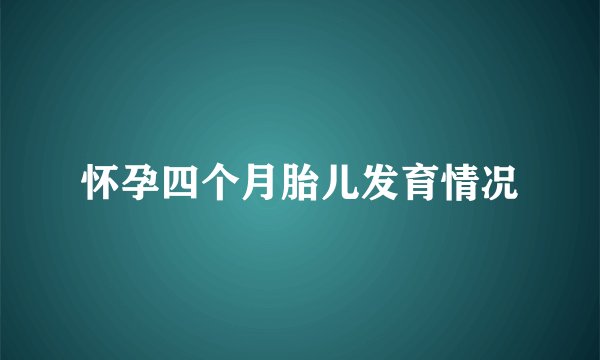 怀孕四个月胎儿发育情况
