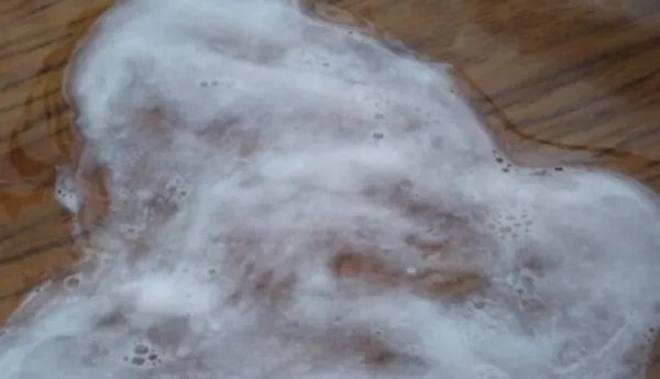 简单水晶泥的做法？