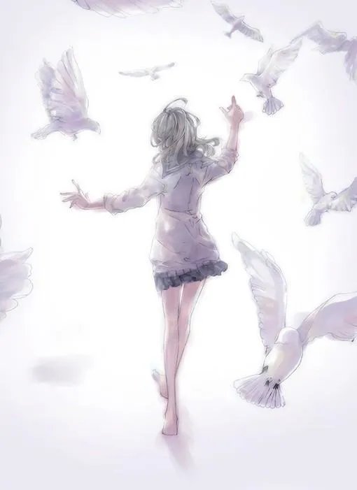 动漫里出现和平鸽或鸽子的图片！急急急！