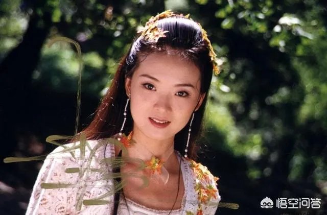 武林外史中沈浪最喜欢白飞飞还是朱七七？