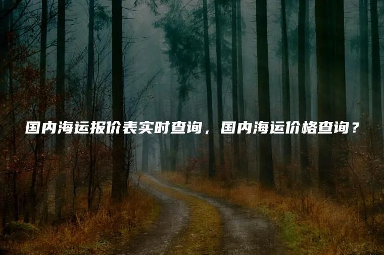 国内海运报价表实时查询，国内海运价格查询？