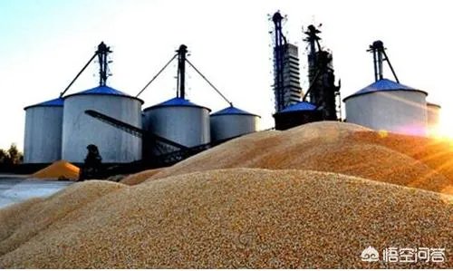 玉米深加工企业对环境有哪些影响？