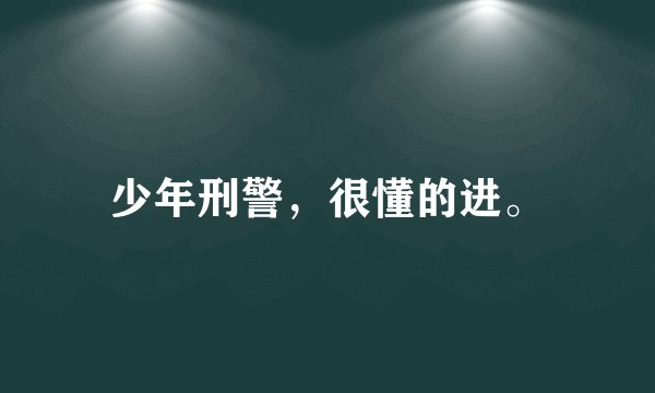 少年刑警，很懂的进。