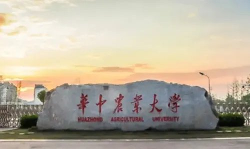 湖北985211大学名单