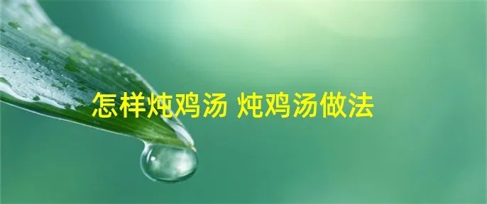 怎样炖鸡汤 炖鸡汤做法