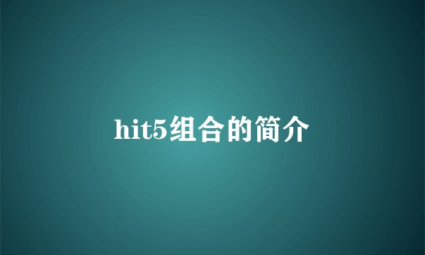 hit5组合的简介