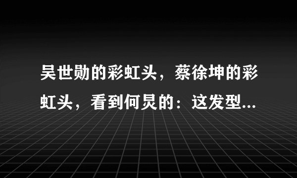 吴世勋的彩虹头，蔡徐坤的彩虹头，看到何炅的：这发型挺贵吧！