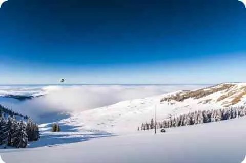 梦幻西游临时符怎么做