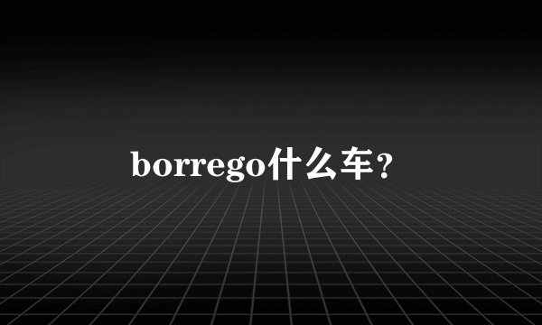 borrego什么车？