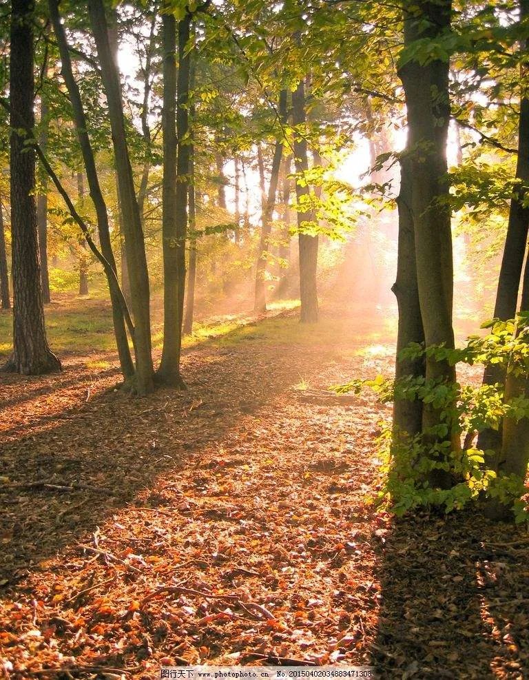 谁有延禧攻略全集，