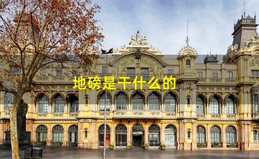 地磅是干什么的