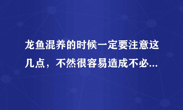 龙鱼混养的时候一定要注意这几点，不然很容易造成不必要的影响