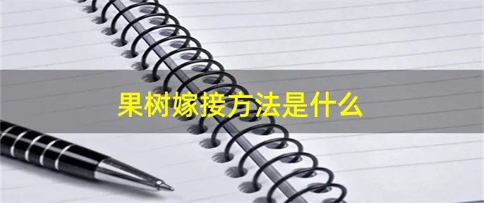 果树嫁接方法是什么
