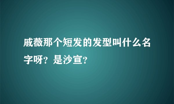 戚薇那个短发的发型叫什么名字呀？是沙宣？