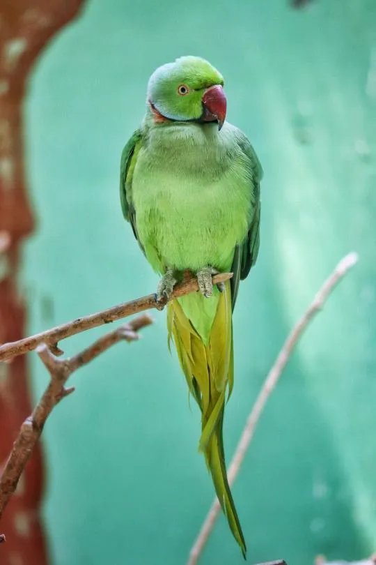 使用佳能微单M6是一种什么体验？