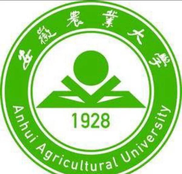 安徽农业大学考研分数线