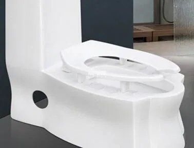 老妈要蹲便,老婆要坐便,于是买了蹲坐两用马桶