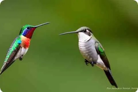 1919年中国发生了什么大事