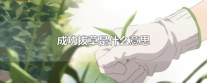 成功拔草是什么意思
