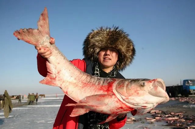 松原有哪些特产？