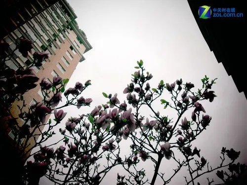 LOMO都市实战：当阴郁+冷色调