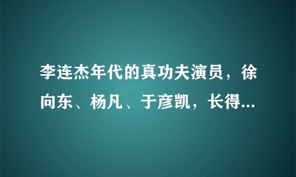李连杰年代的真功夫演员，徐向东、杨凡、于彦凯，长得有多像？