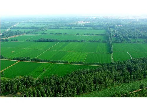 新型农业经营体系的解读