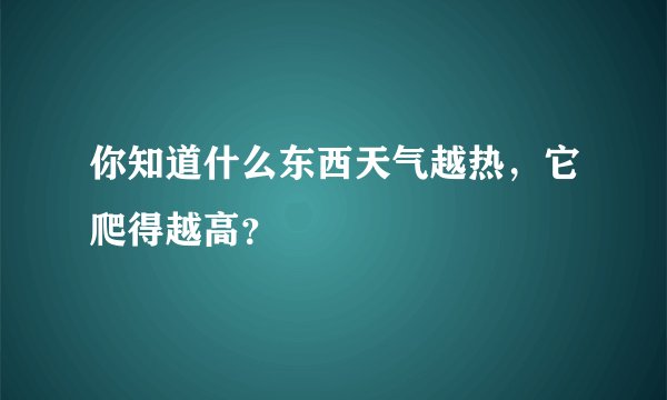 你知道什么东西天气越热，它爬得越高？