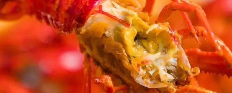 小龙虾头里的是虾黄吗
