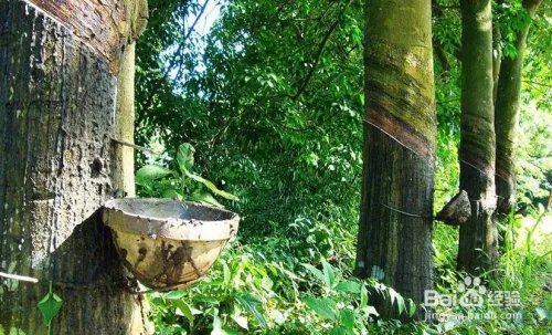 普吉岛在哪里_普吉岛在哪个国家